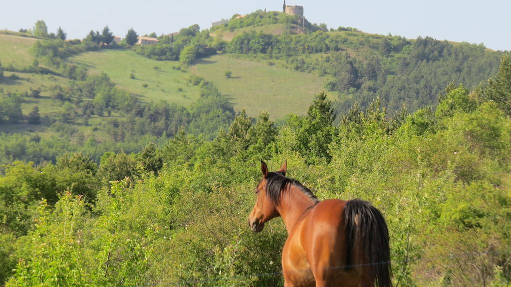 Les Gites D'Eliane Laragne Exterior foto